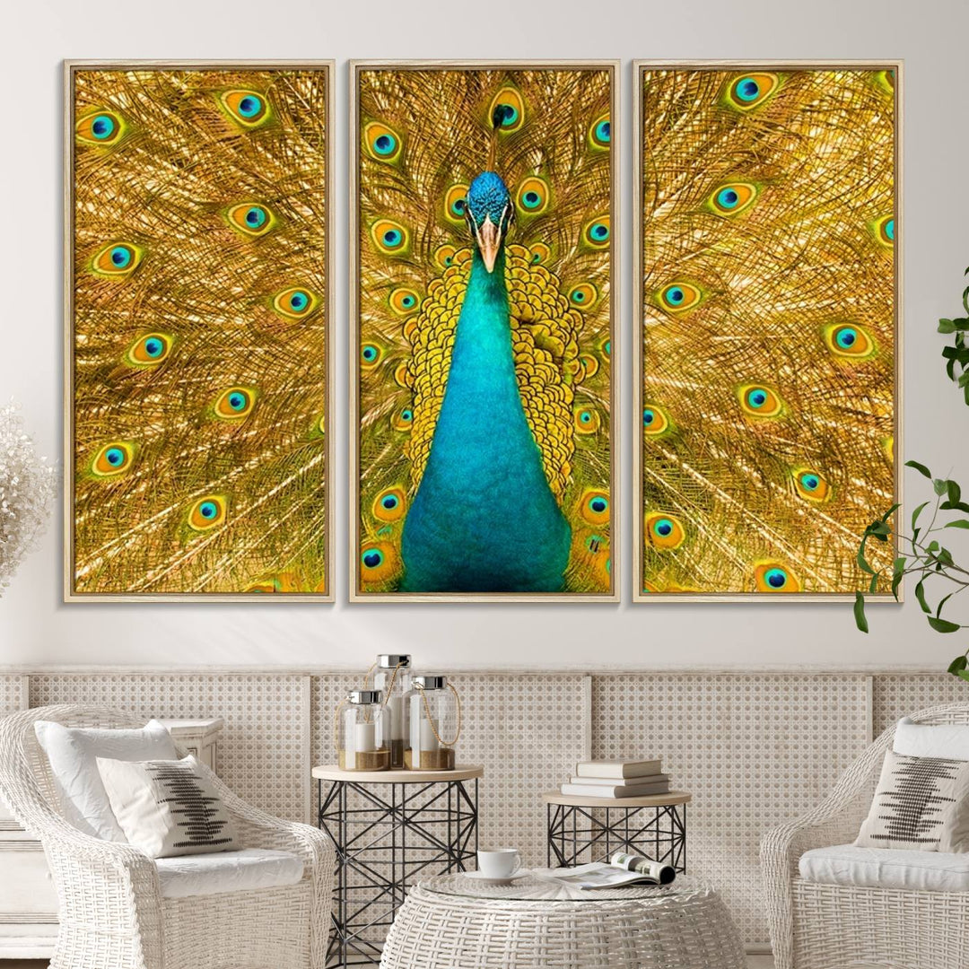 The Peacock Wall Art Canvas Print adorns a bright wall.