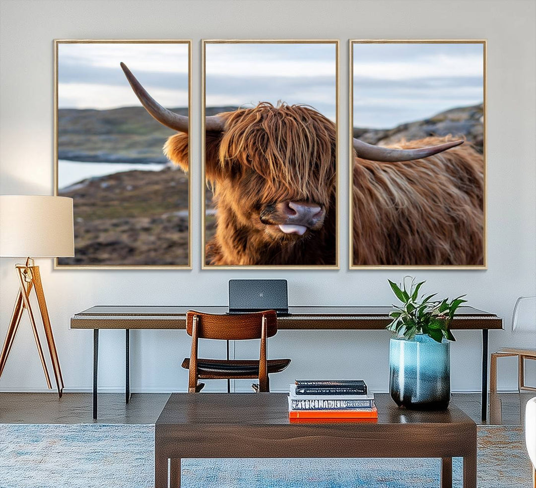 The Cuddly Highland Cow Canvas hangs, adding charm with its shaggy elegance.