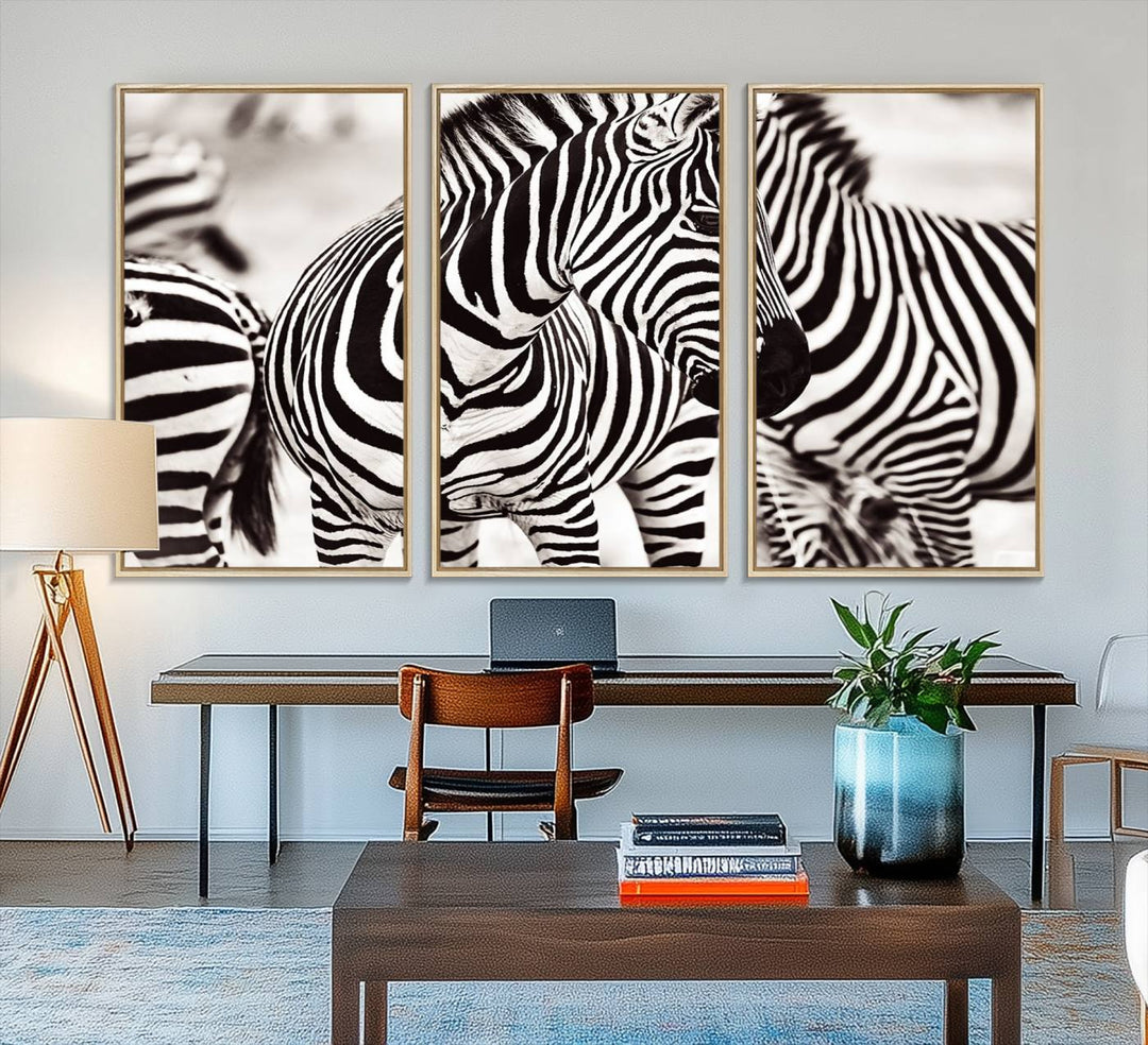 The Brilliant Zebra Photography Art Canvas Print hangs prominently on the wall.