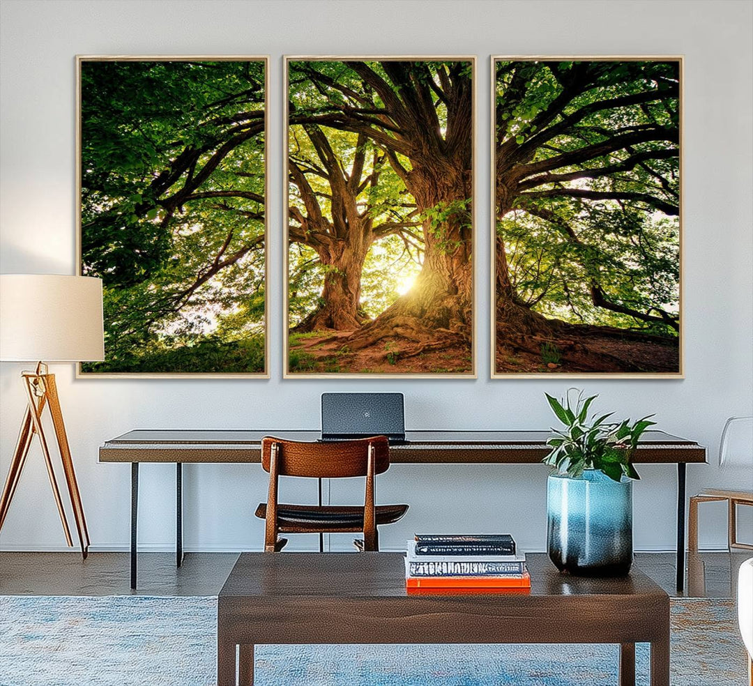 Majestic Ancient Tree Wall Art is illuminated by sunlit forest rays.