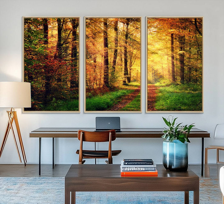 The Sunlight Through Trees Wall Art Canvas Print showcases a sunlit autumn forest and includes UV protection to ensure lasting vibrance.