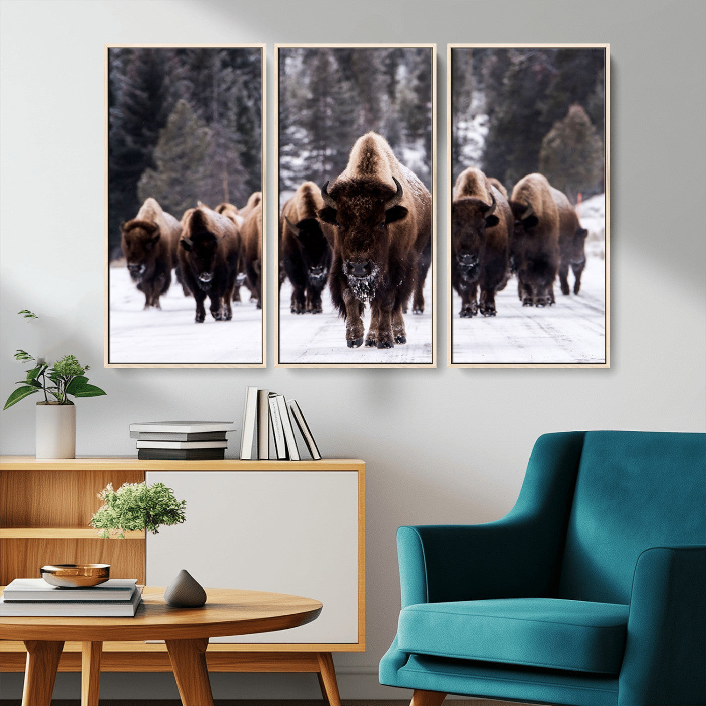 MGV-FC-48X32-3P - Bison Wall Art Canvas Print- Bison Herd Canvas Wall Art – Majestic Wildlife Photography – Framed and Ready to Hang Nature-Inspired Art - Buffalo Wall Art Print