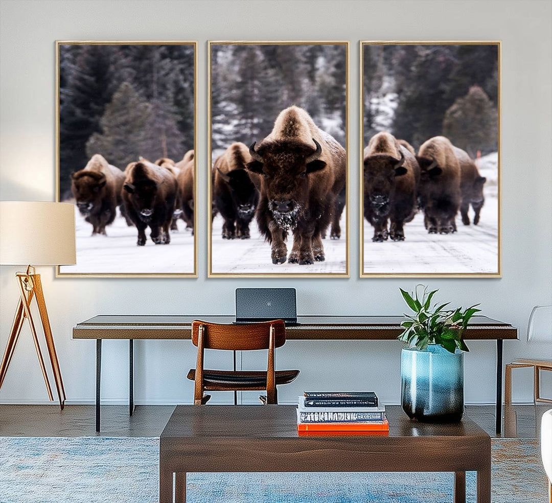 Bison Herd Canvas Wall Art.