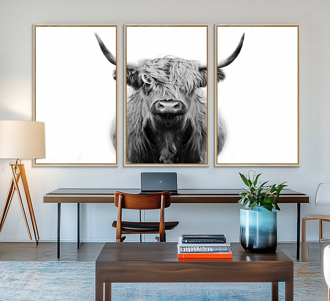 Highland Cow Canvas hanging prominently.