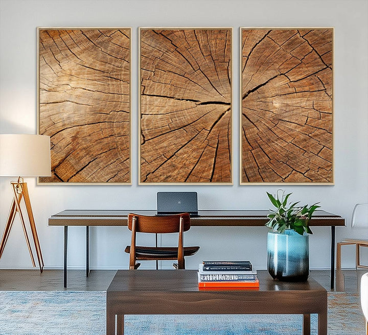 Tree Ring Canvas Art decorates a textured wall.