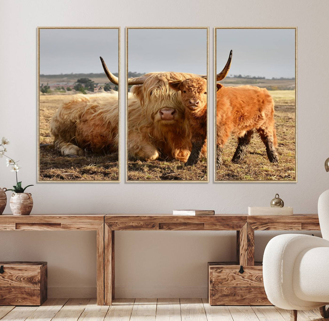 Highland Cow Canvas: a light brown cow and calf in the field, ideal farmhouse decor.