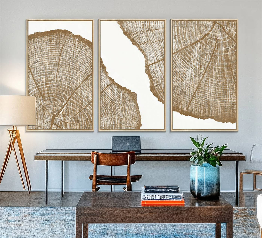 The rustic wall art features two large tree rings, beautifully framed and displayed to create a nature-inspired décor.