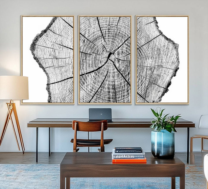 Black and white tree ring art print.