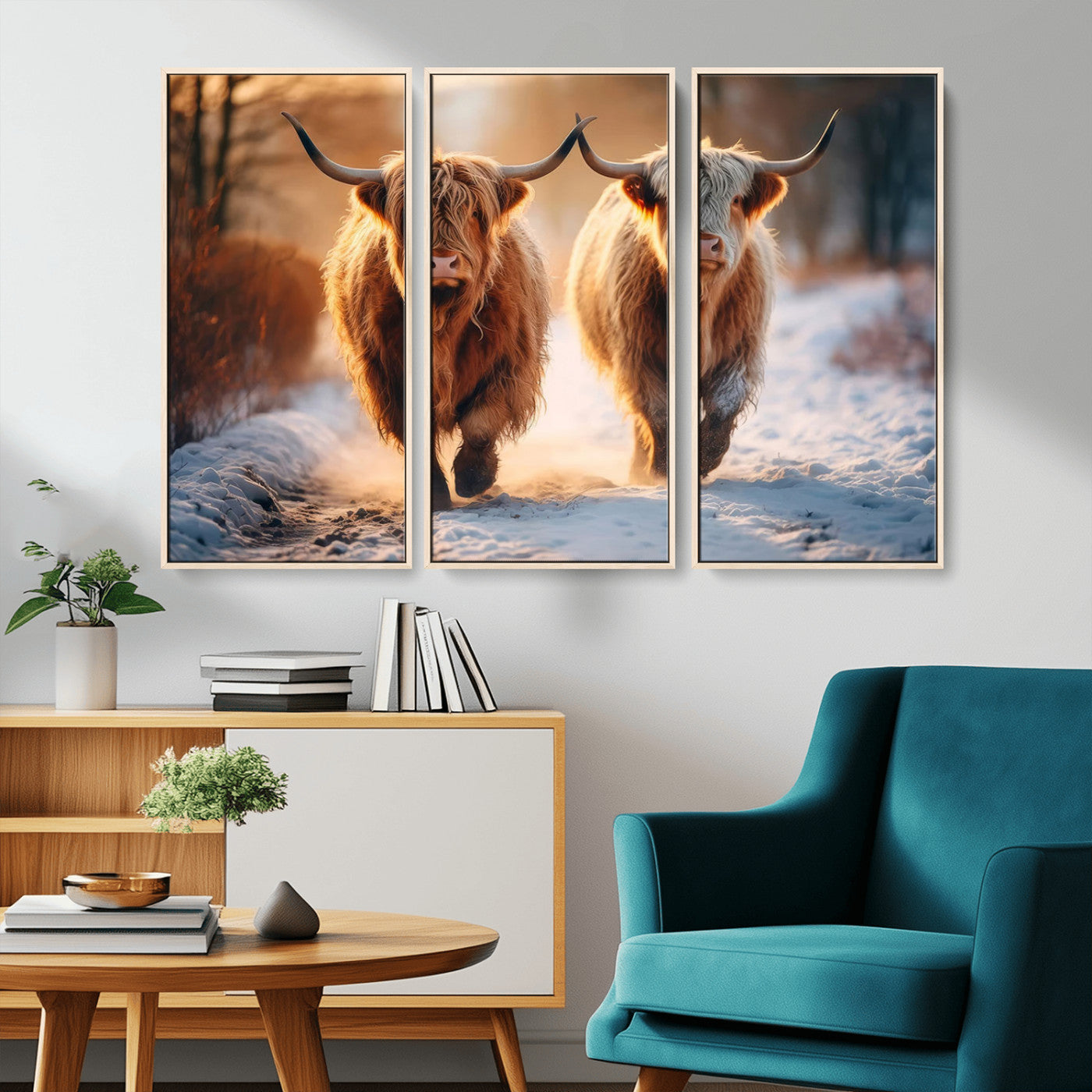 MGV-FC-48X32-3P - Scottish Highland Cow Horn Farm Wall Art Canvas Print