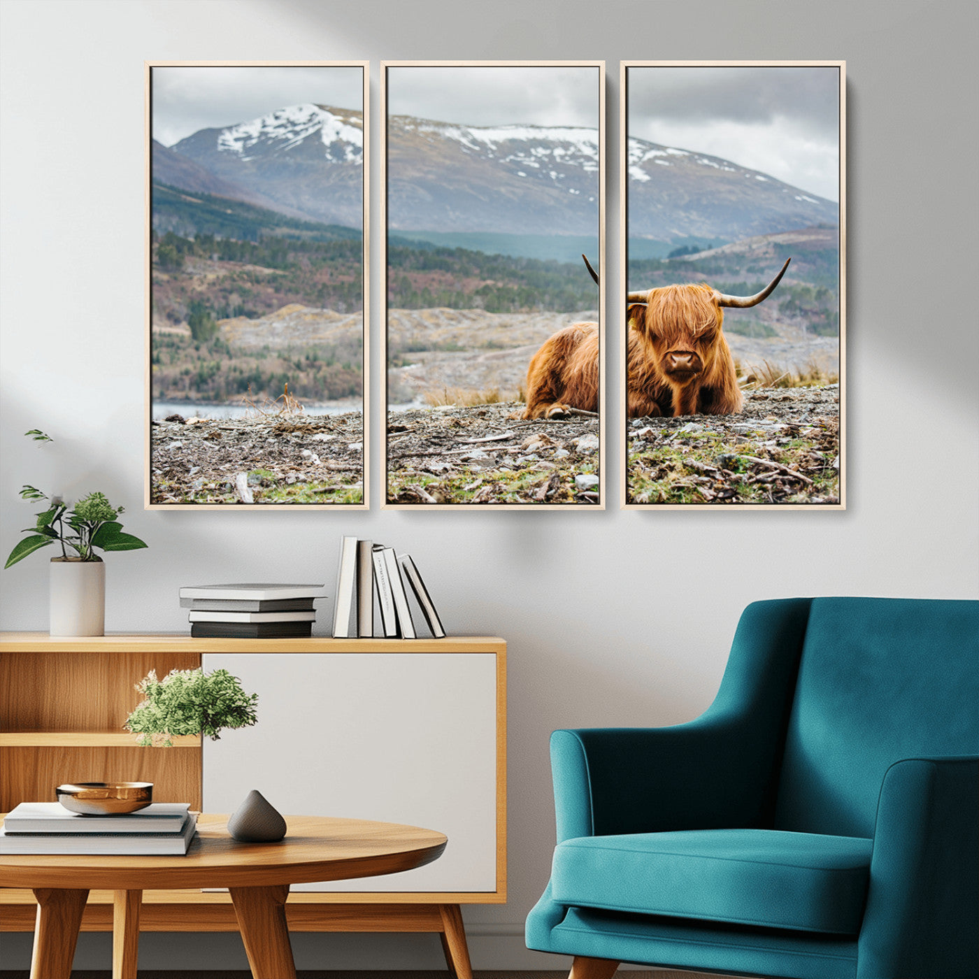 -Highland Cow Horn Farm Wall Art Canvas Print