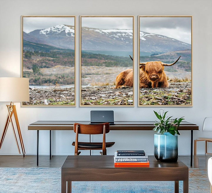 Highland Cow Horn Farm Wall Art Canvas Print is displayed against a wooden wall featuring a mountainous backdrop.