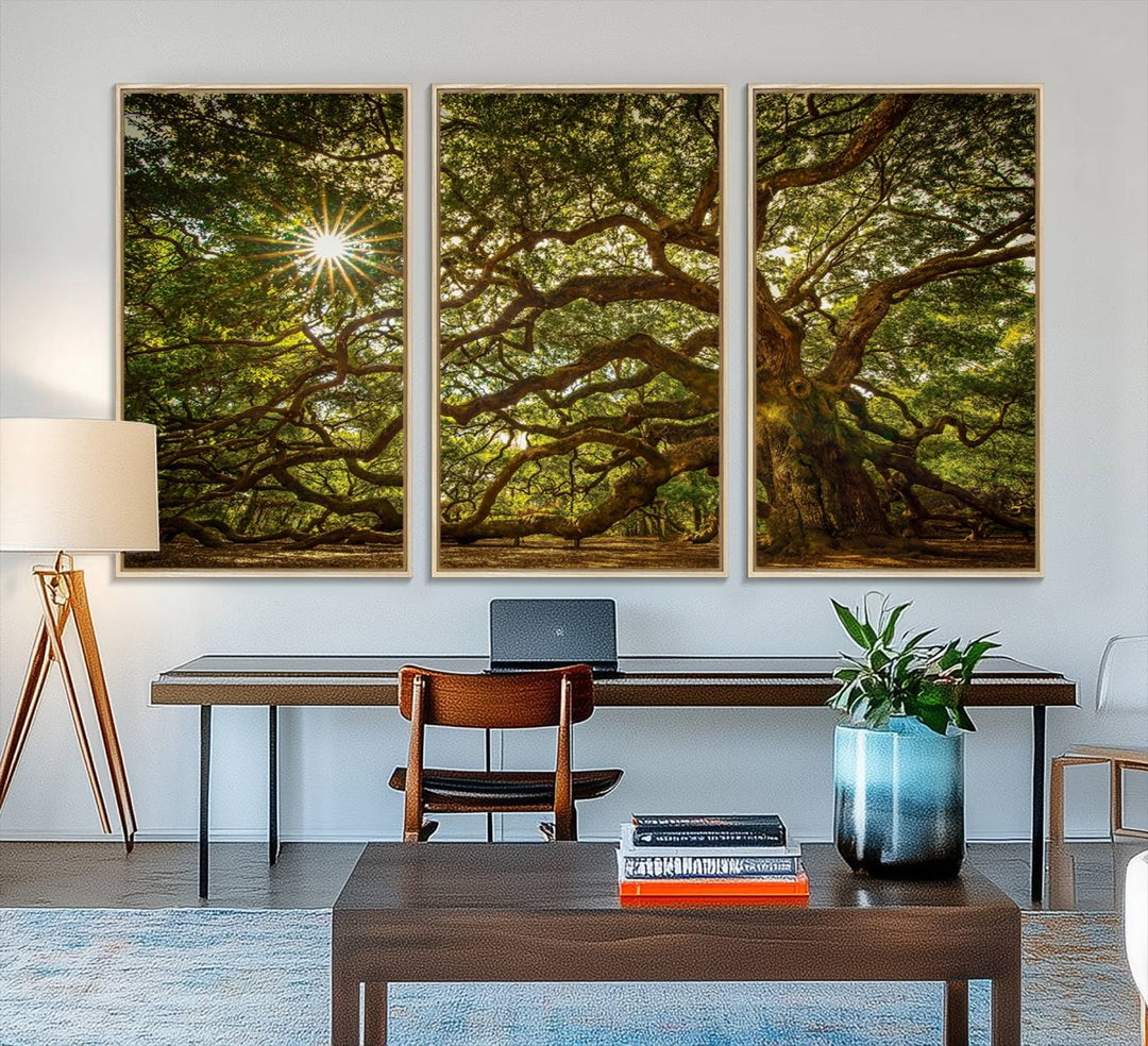 The Ancient Angel Oak Tree Art Sunburst Canvas Print, a framed triptych, serves as wall art.