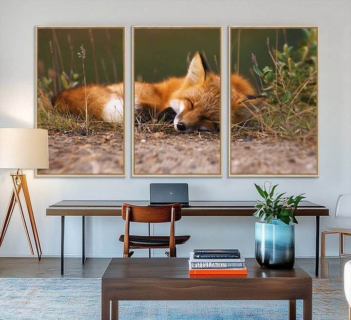 The Sleeping Fox Wall Art Canvas Print is ideal for farmhouse decor.