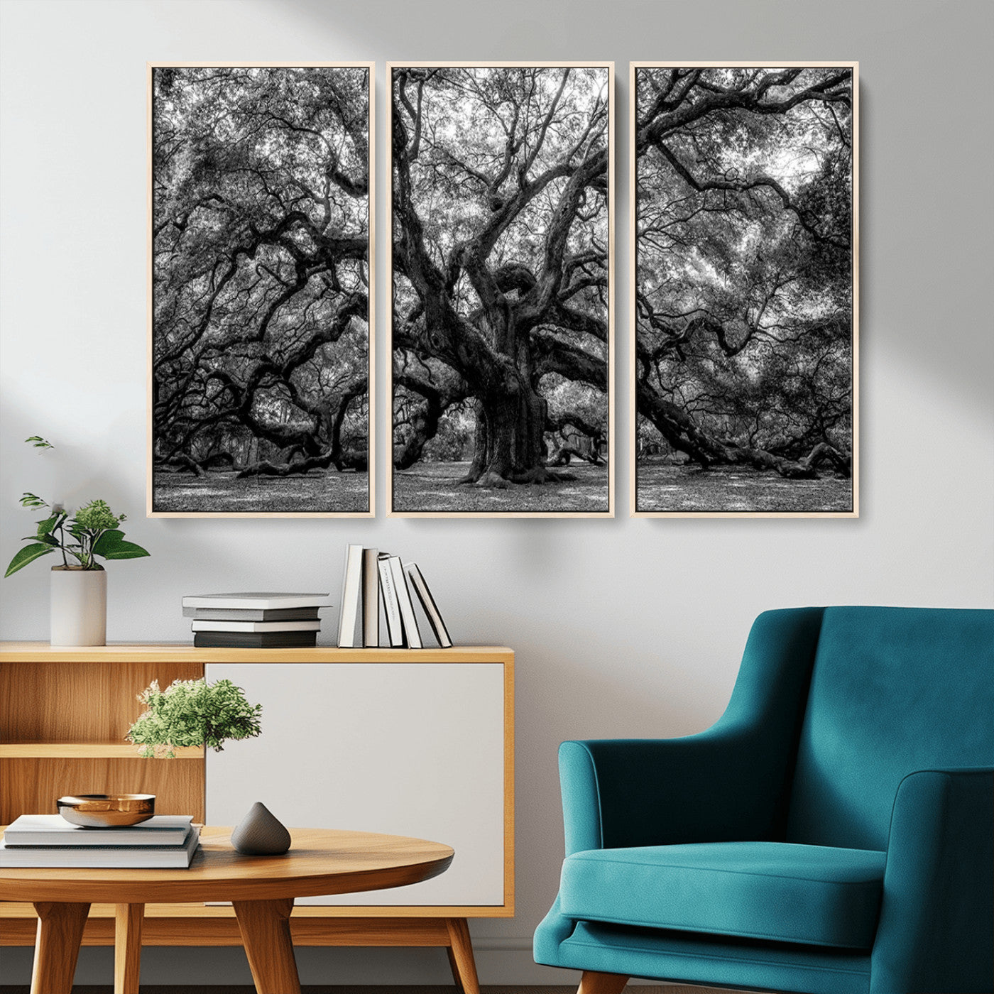 MGV-FC-48X32-3P - Black and White Old Angel Oak Tree Wall Art Canvas Print