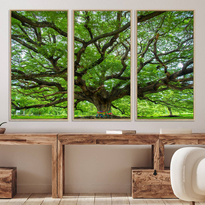 Framed Angel Oak Tree print featuring sprawling branches and ribbons against a clear sky backdrop, ideal for home or office decor.
