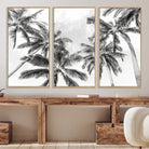 Edit-Images-Black and White Palm Tree Wall Art – Monochrome Tropical Canvas Print for Coastal or Minimalist Living Room Decor