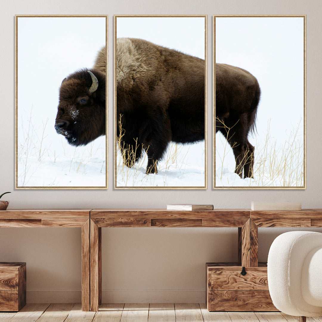 Bison Photography Wall Art Canvas Print, Framed Western Wildlife Art Picture Print, Buffalo On Snow Perfect Western Decor Artwork