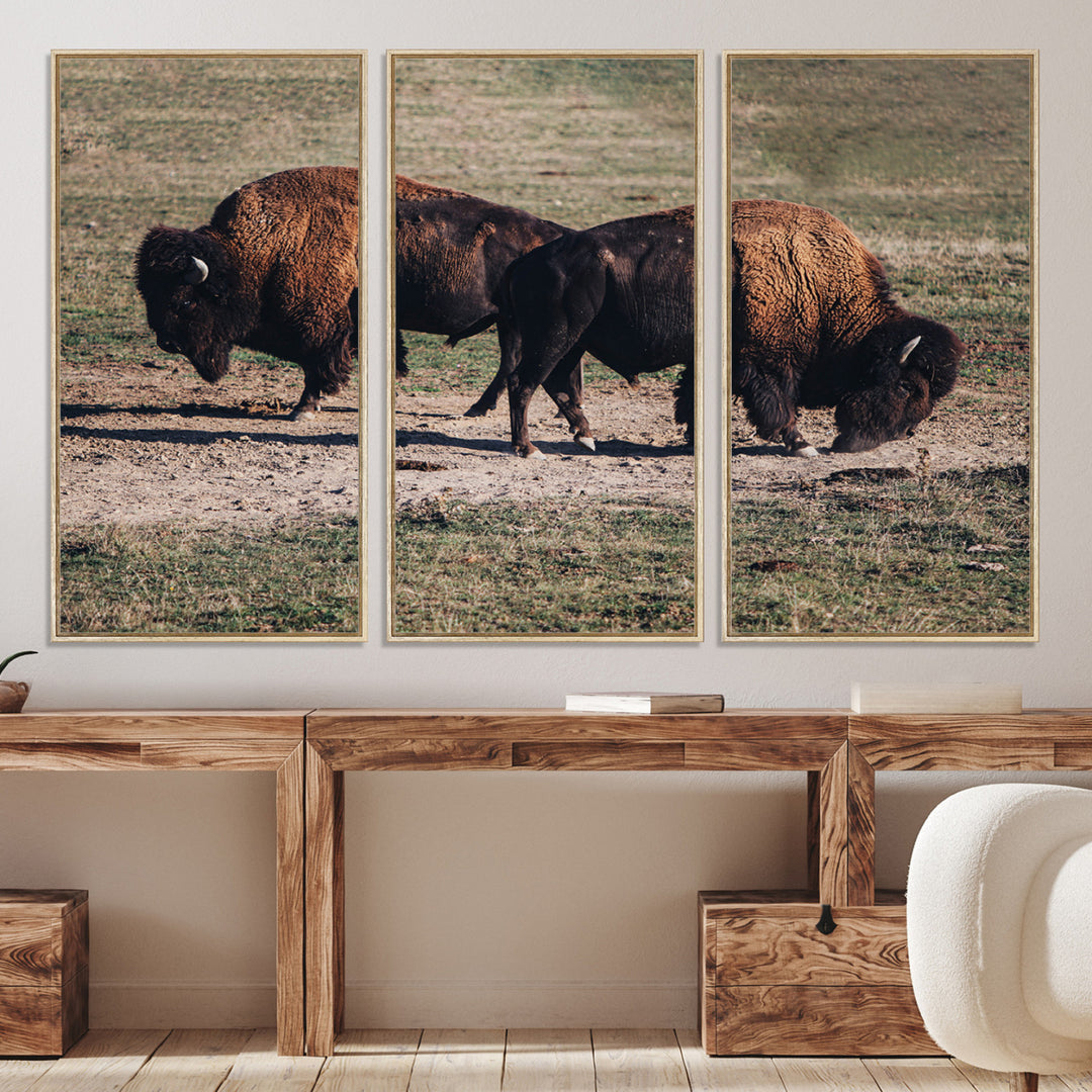 Bison Photography Wall Art Canvas Print, Framed Western Wildlife Art Picture Print, Modern Ranch Perfect Western Rustic Decor Artwork