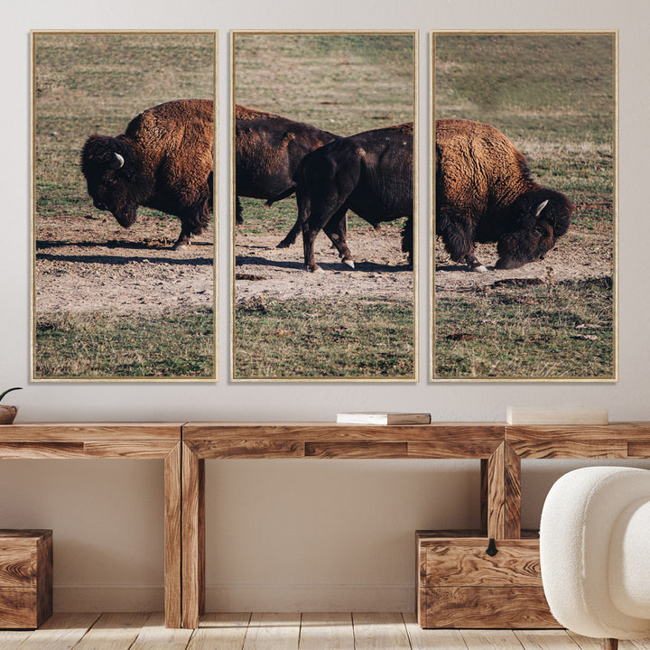 Bison Photography Wall Art Canvas Print, Framed Western Wildlife Art Picture Print, Modern Ranch Perfect Western Rustic Decor Artwork