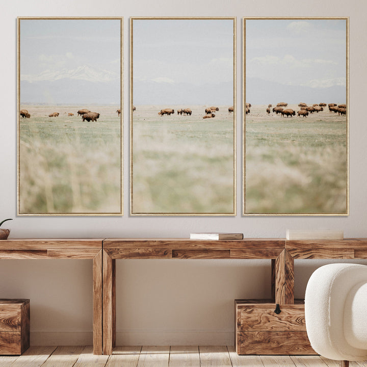Bison Herd Wall Art Canvas Print, Framed Western Art Picture Print, Bison Perfect Ranch Decor Artwork
