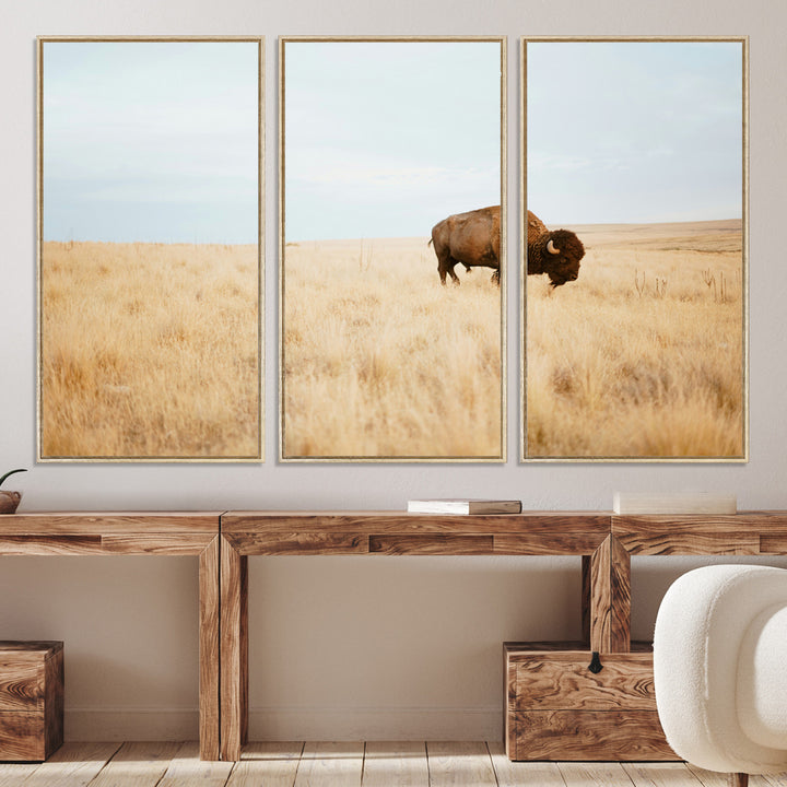 A lone bison standing in a vast golden grassland under a soft blue sky, evoking a rustic and Western aesthetic, ideal for farmhouse decor.