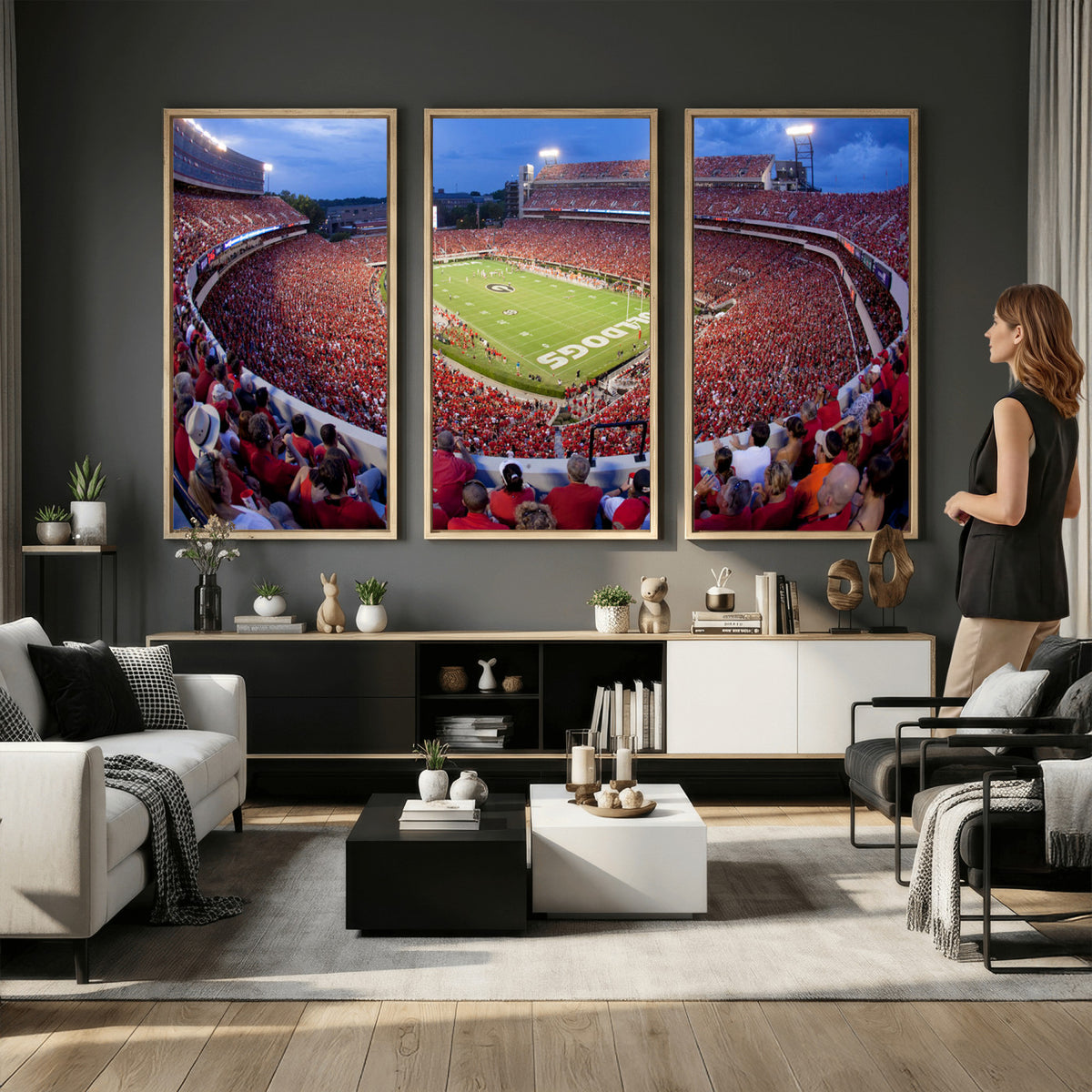10244378-MGV-CV-36X24 - Dooley Stadium Wall Art, Sports Arena Canvas Print, Dooley Field, Home Bar Wall Decor