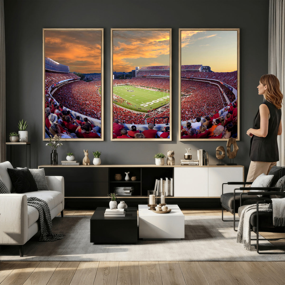 73680988-MGV-CV-36X24 - Dooley Stadium Wall Art, Sports Arena Canvas Print, Dooley Field, Framed and Ready to Hang