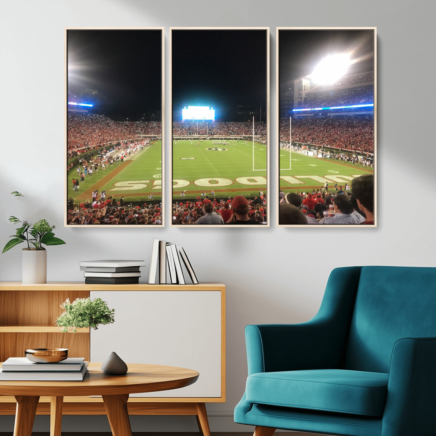 Dooley Stadium Wall Art Print, Sports Arena Canvas Wall Art, Panoramic Stadium Canvas Print, Modern Athletic Field Art Printing