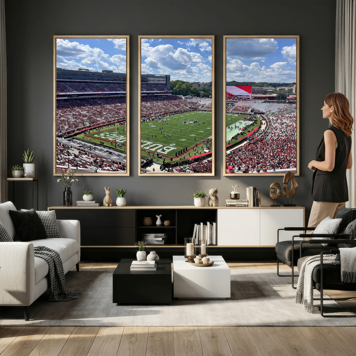 10665453-MGV-CV-36X24 - Georgia Bulldogs Stadium Wall Art Canvas Print, Sanford, Framed and Ready to Hang