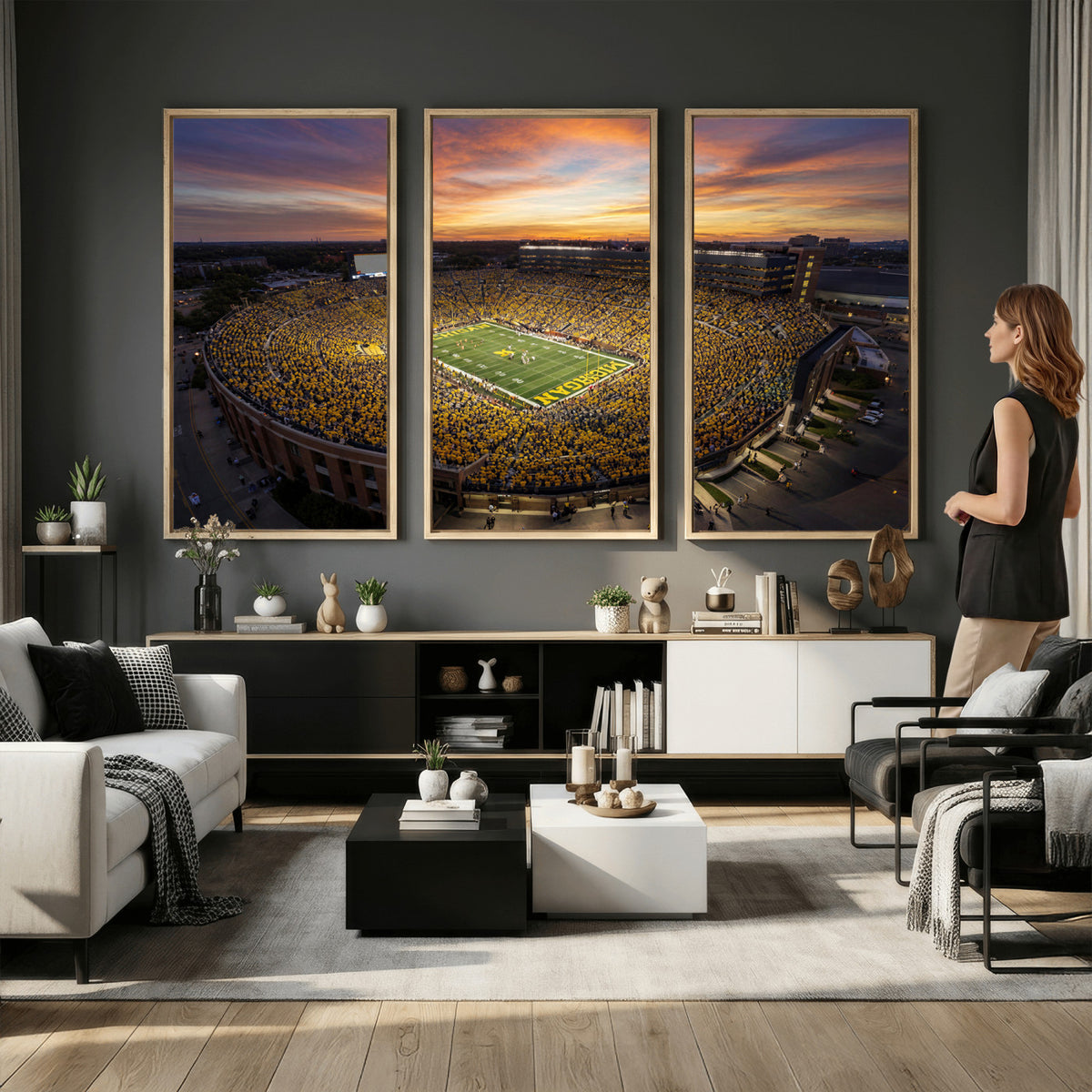 64902586-MGV-CV-36X24 - Stadium Wall Art Canvas Print