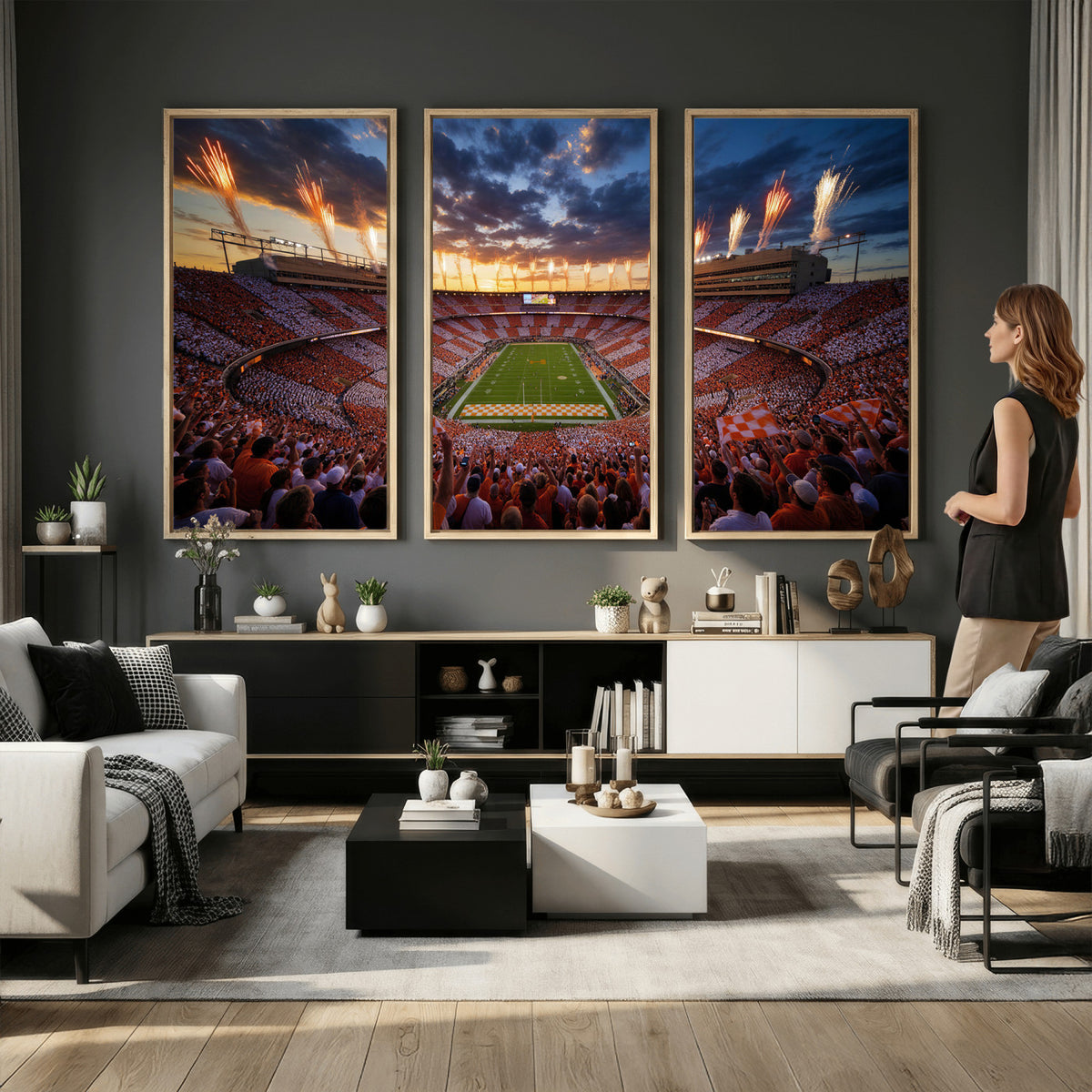 29672818-MGV-CV-36X24 - Stadium Wall Art Canvas Print
