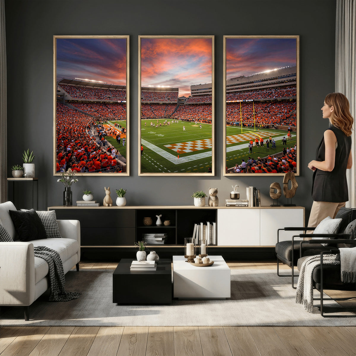 67648335-MGV-CV-36X24 - Stadium Wall Art Canvas Print
