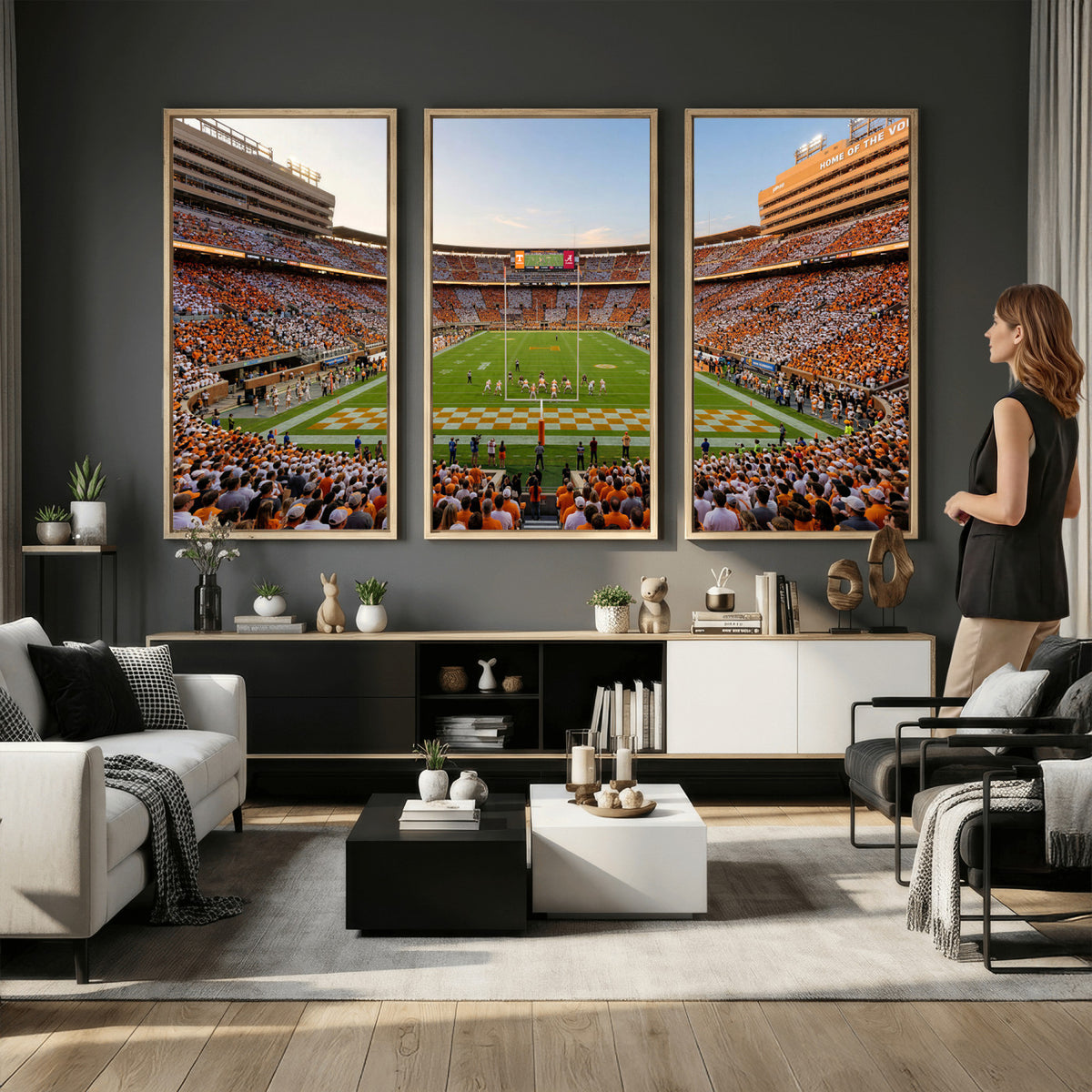 74509135-MGV-CV-36X24 - Stadium Wall Art Canvas Print