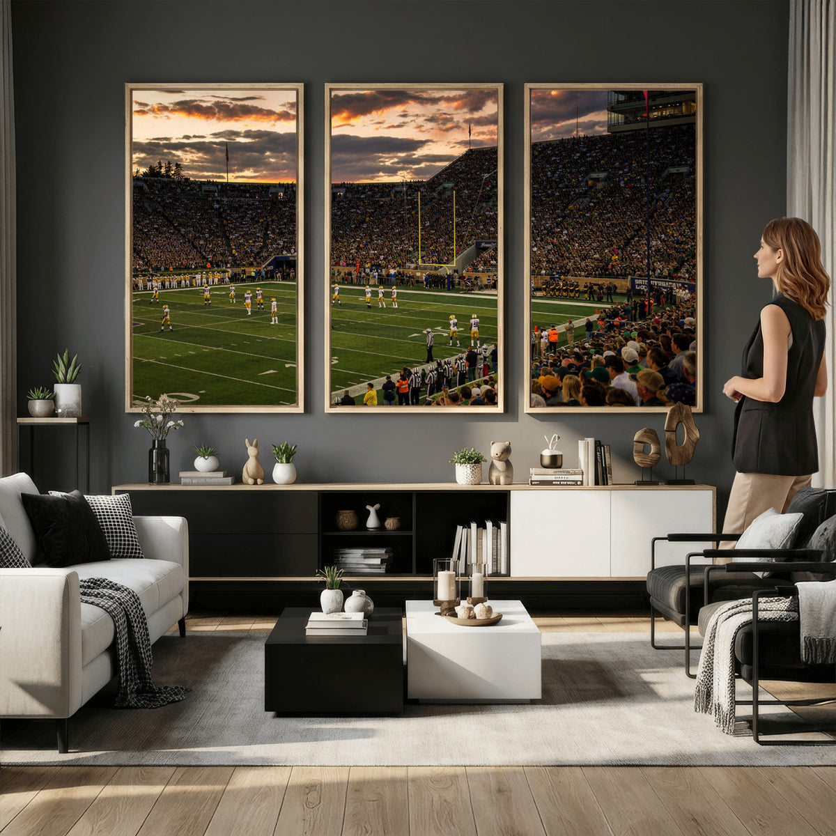 17703678-MGV-CV-36X24 - Stadium Wall Art Canvas Print