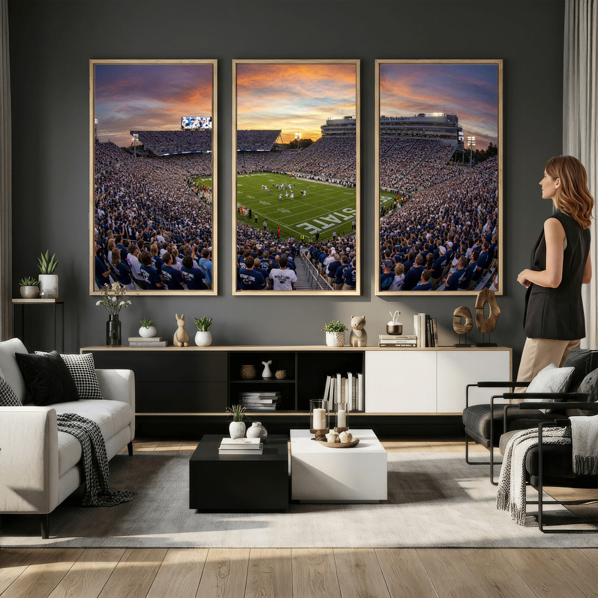 29008668-MGV-CV-36X24 - Stadium Wall Art Canvas Print