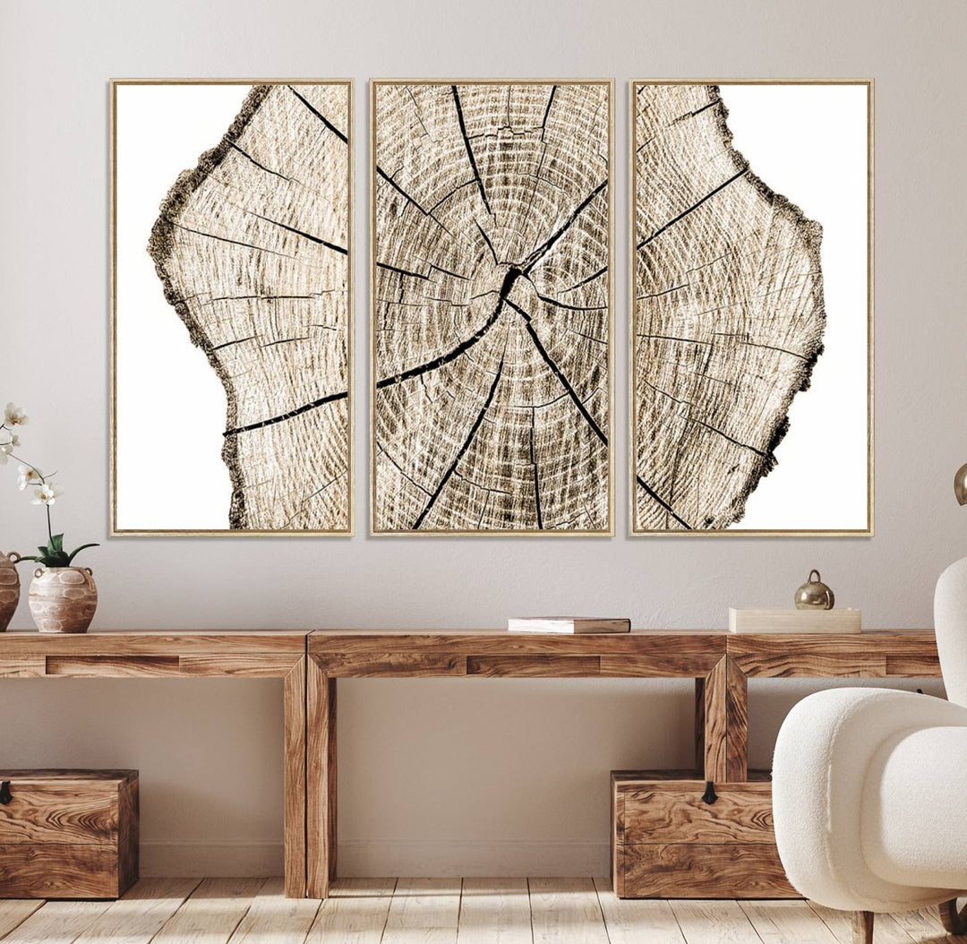 The Abstract Wood Tree Ring Wall Art set of 3 adds a minimalist touch to the space.