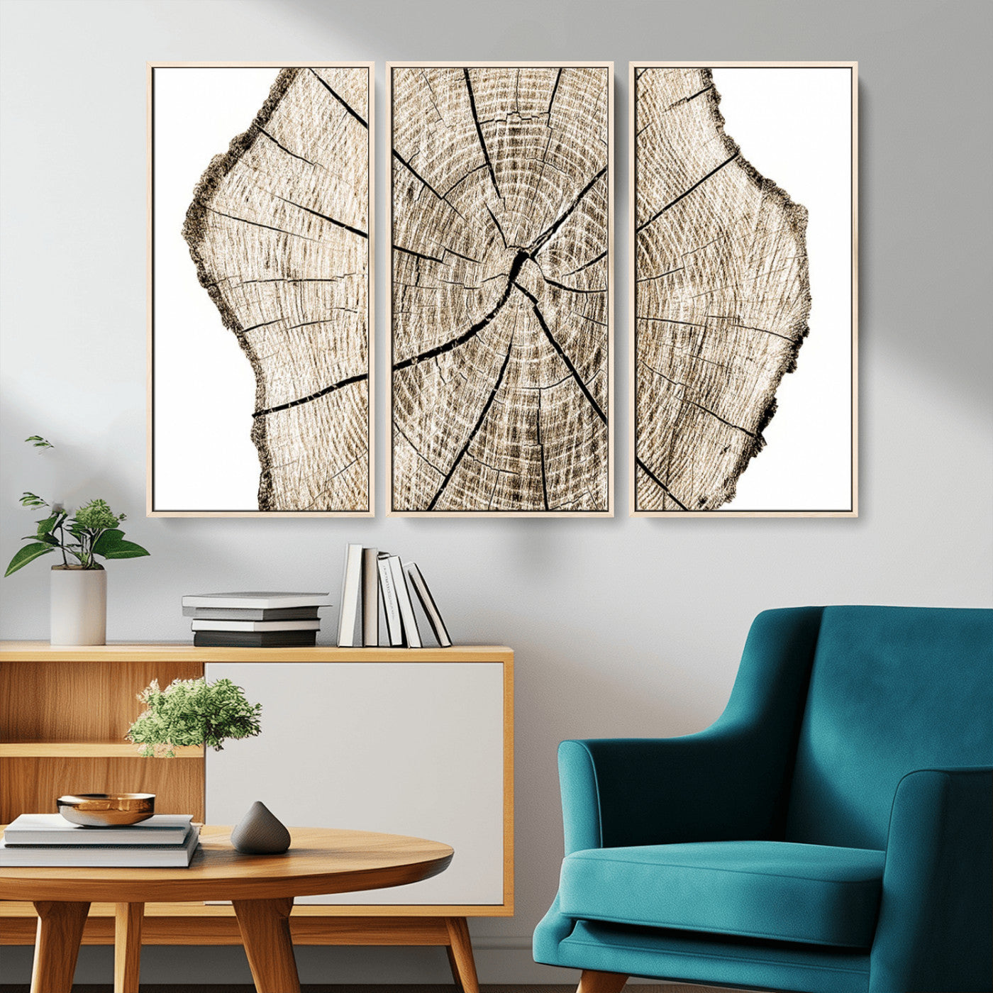 MGV-FC-48X32-3P - Abstract Wood Tree Ring Wall Art - Ready to Hang Minimalist Wooden Design for Rustic & Contemporary