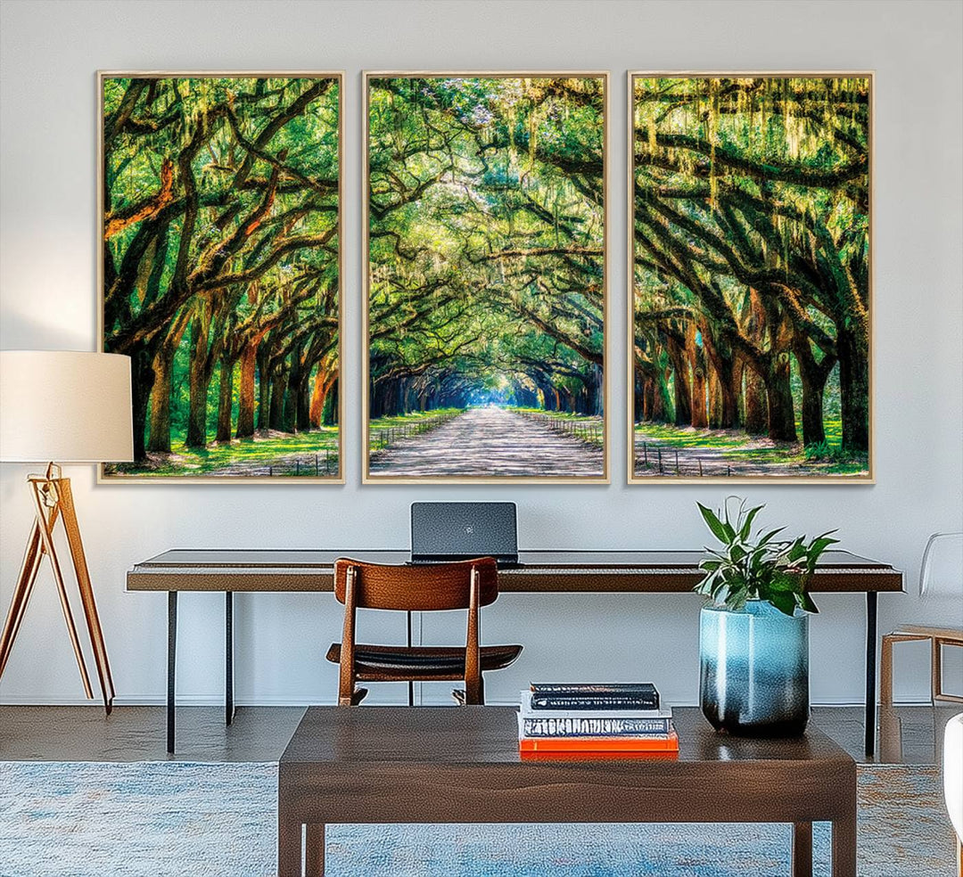 The Serene Tree Tunnel Canvas Print decorates the wall.