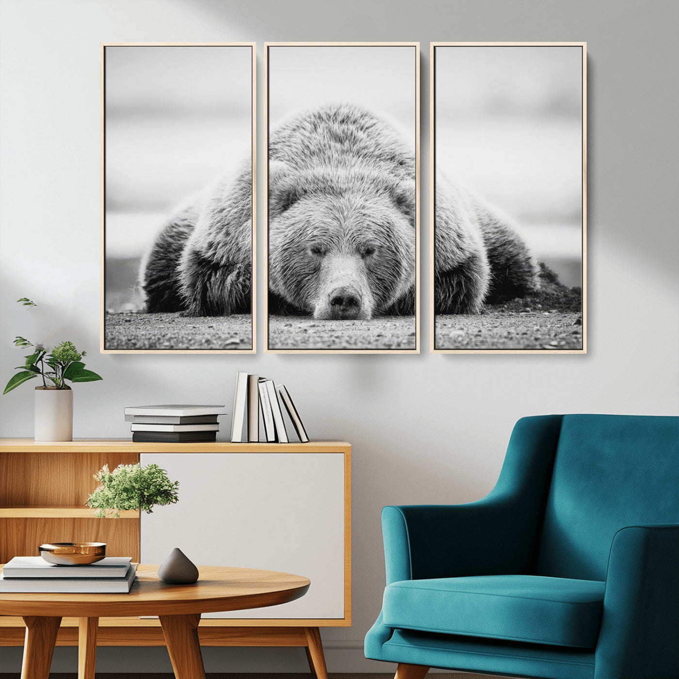 MGV-FC-48X32-3P - Resting Grizzly Bear Wall Art Canvas Print – Majestic Lazy Black and White Wildlife Bear Art,