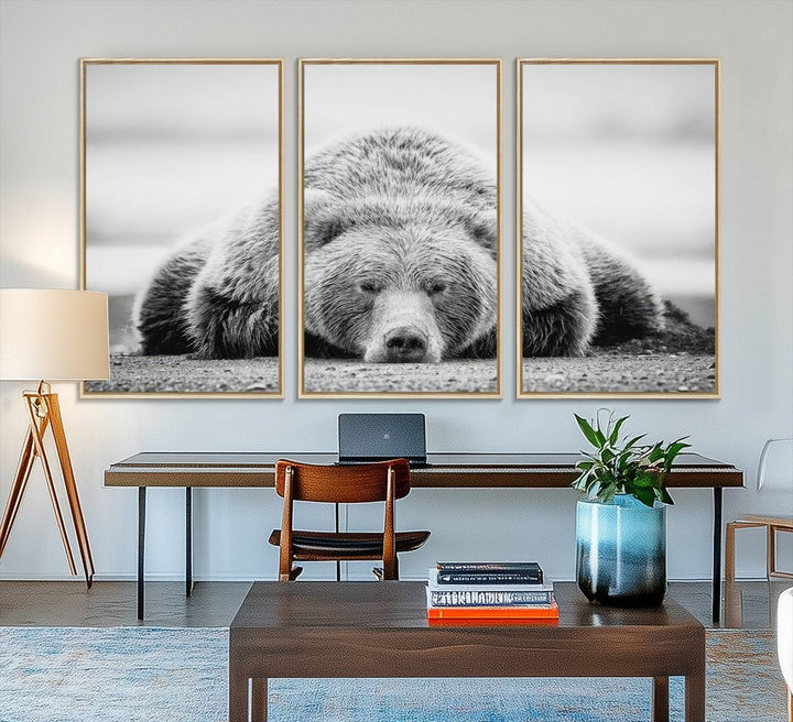 Resting Grizzly Bear wall art displayed in a modern room.