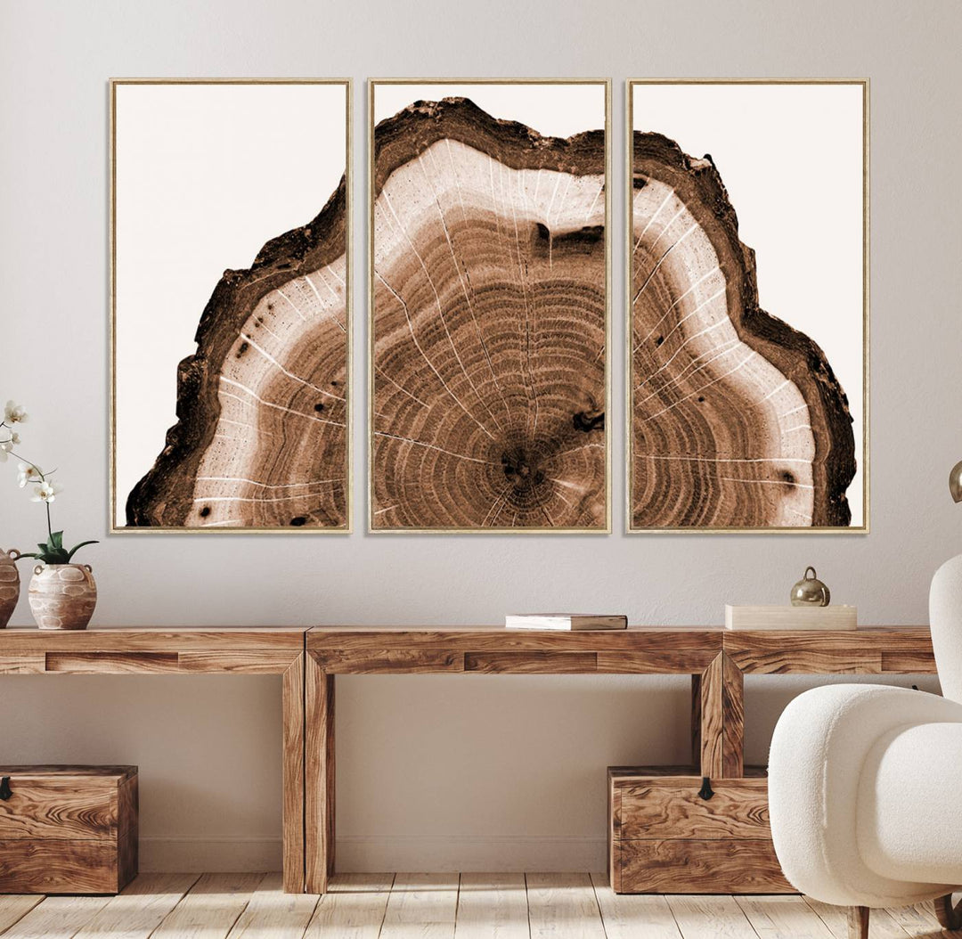 Close-up of the Rustic Wood Rings Wall Art featuring detailed tree rings and natural texture on a plain white background.