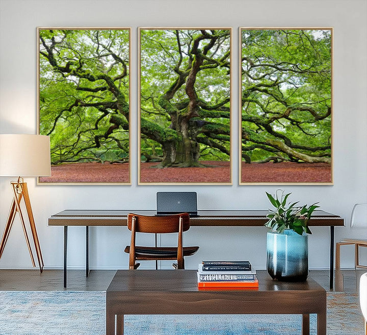 Framed Angel Oak Tree Wall Art: Large 3-panel green nature canvas, ready to hang.