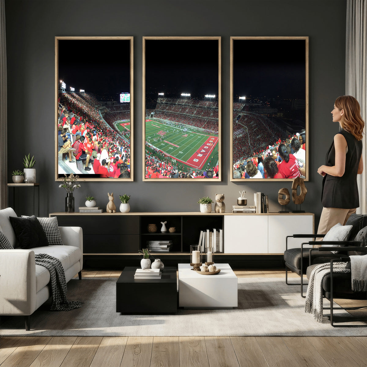 67036-MGV-CV-36X24 - Houston Cougars Football Team Print - Houston TDECU Stadium Wall Art Canvas Print