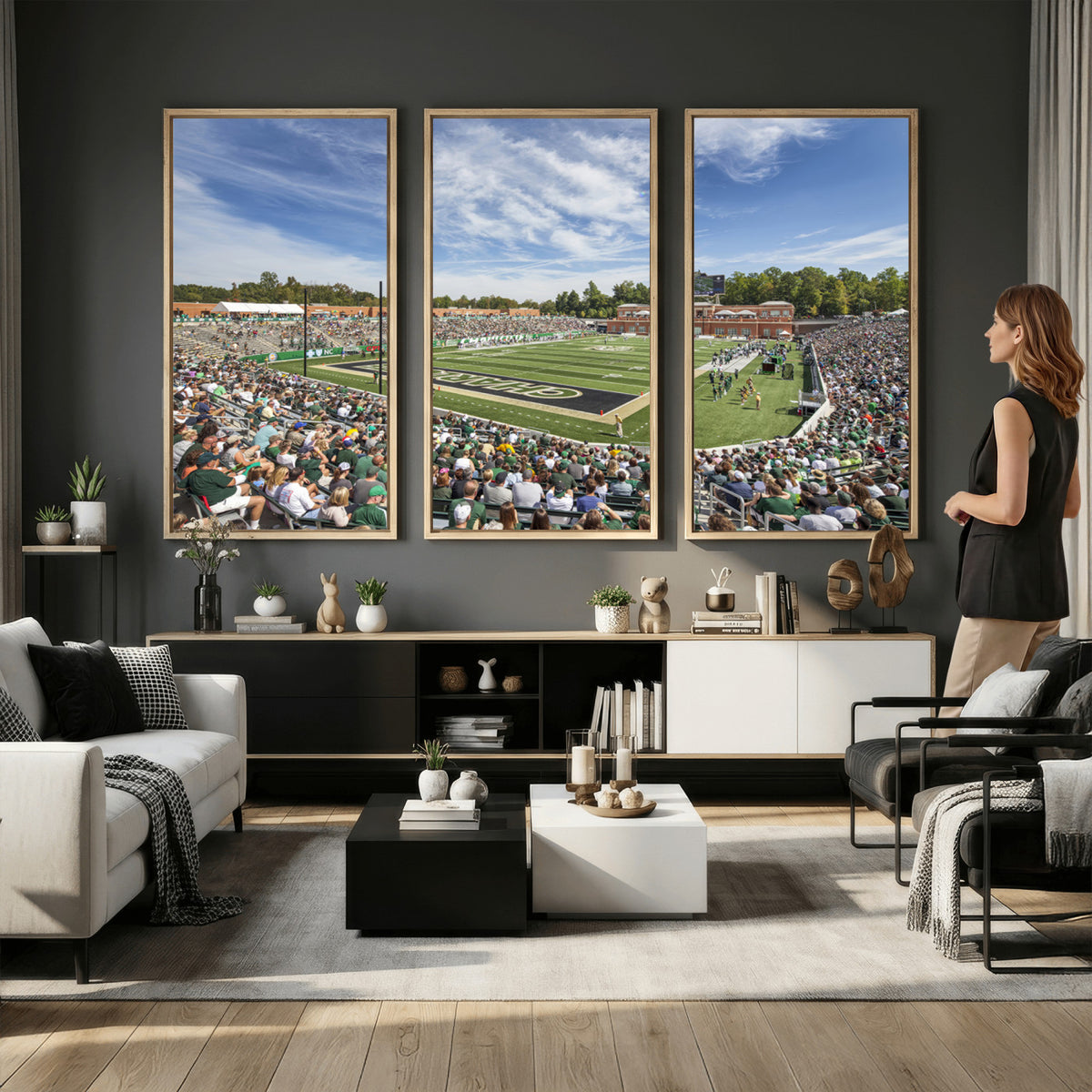 67799-MGV-CV-36X24 - University of Charlotte 49ers Football Team Print - Charlotte Jerry Richardson Stadium Canvas Print