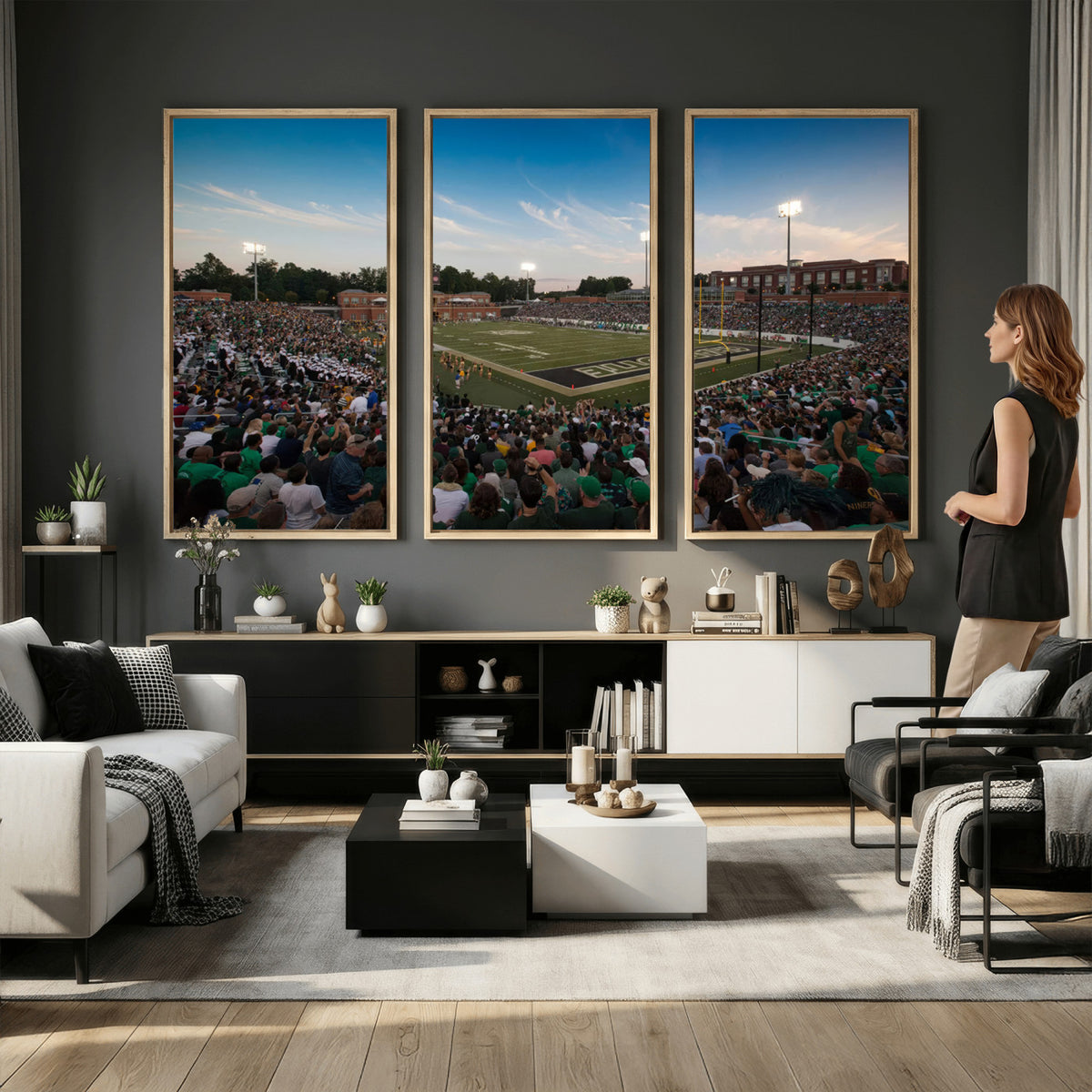 12290-MGV-CV-36X24 - University of Charlotte 49ers Football Team Print - Charlotte Jerry Richardson Stadium Wall Art