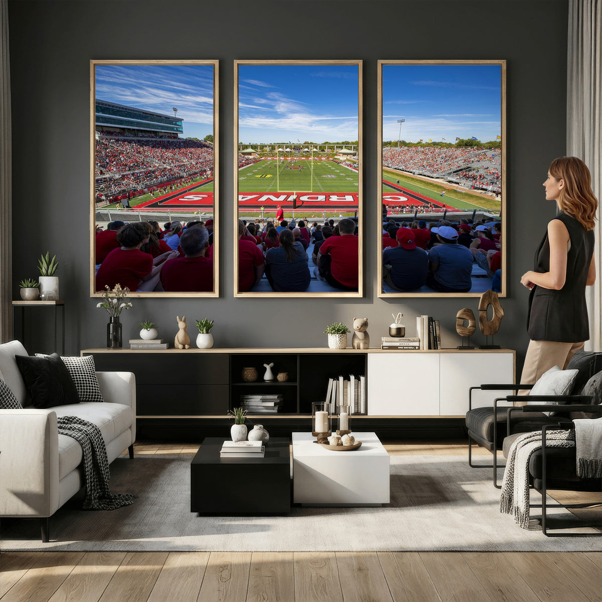 71475-PAN-FL-20X10 - Ball State Cardinals Football Team Print - Muncie Scheumann Stadium Wall Art Canvas Print