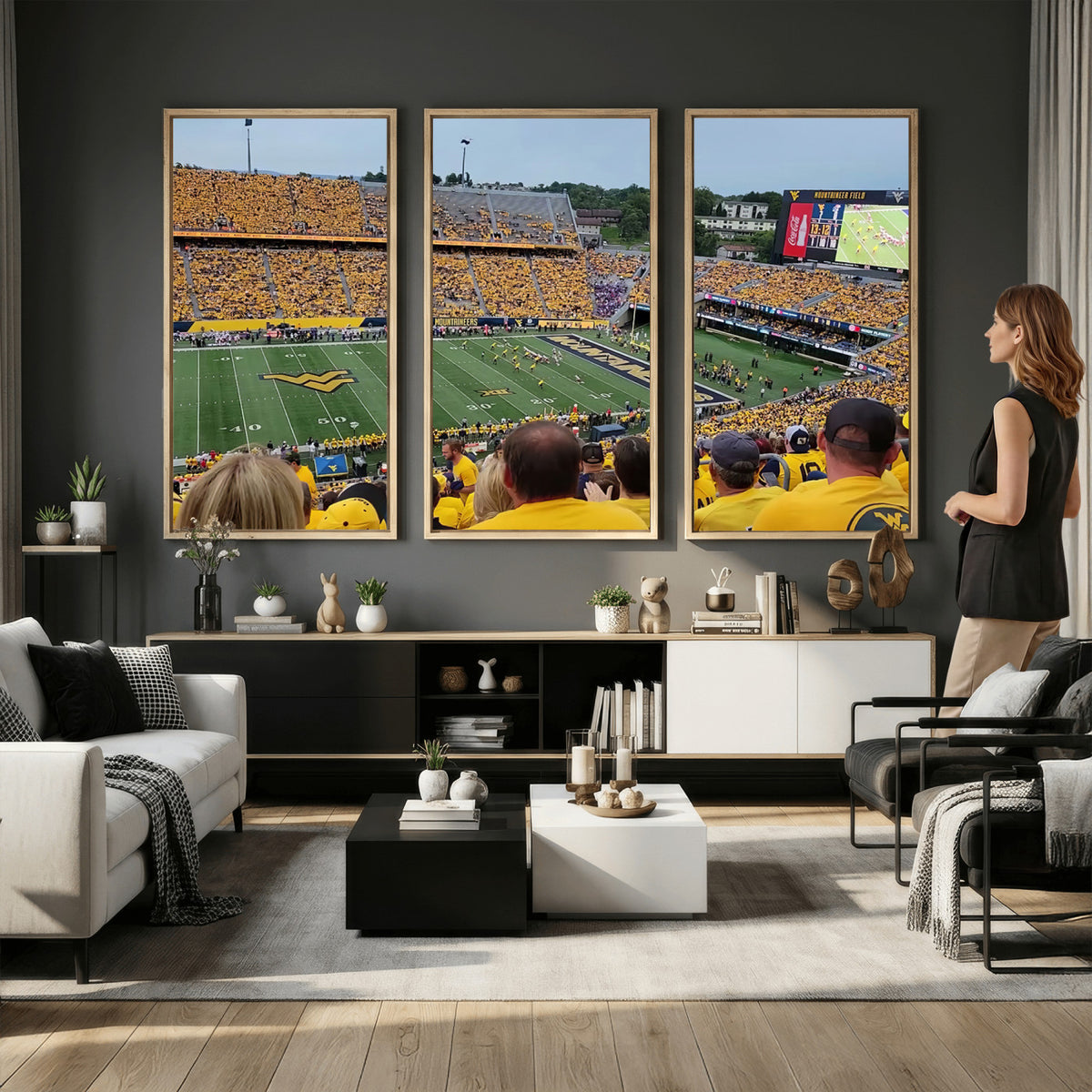 18056-MGV-CV-36X24 - Puskar Stadium Canvas Print Wall Art, Morgantown Print