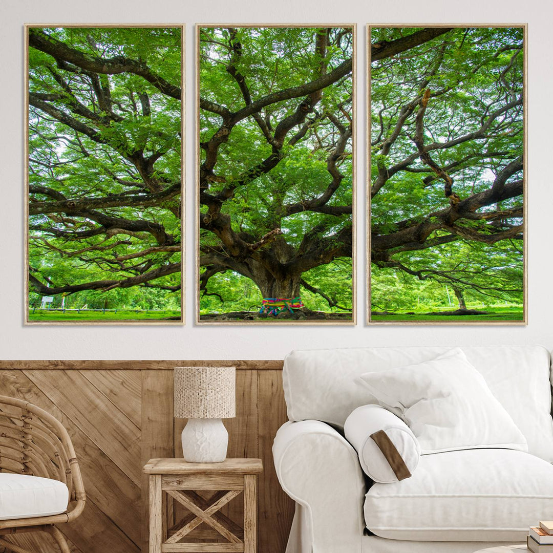 Framed Angel Oak Tree print featuring sprawling branches and ribbons against a clear sky backdrop, ideal for home or office decor.