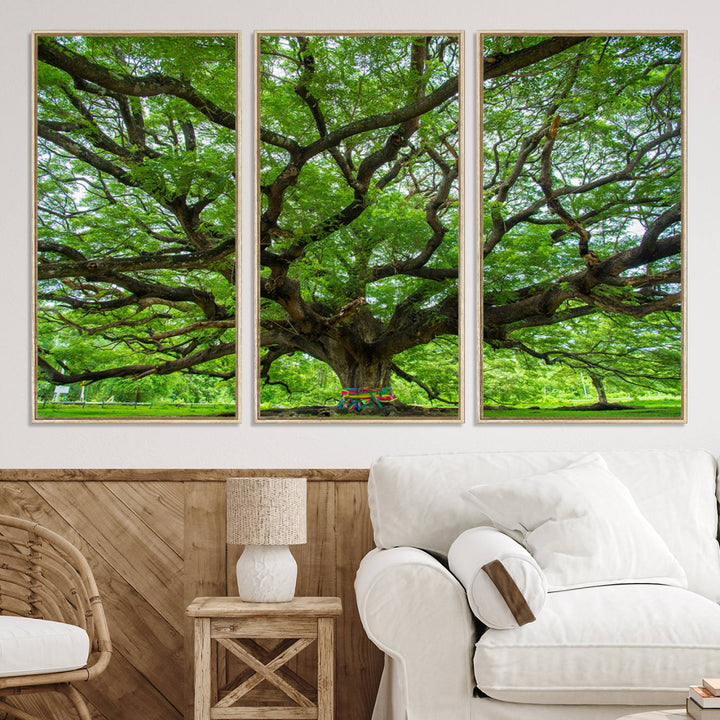 Framed Angel Oak Tree print featuring sprawling branches and ribbons against a clear sky backdrop, ideal for home or office decor.