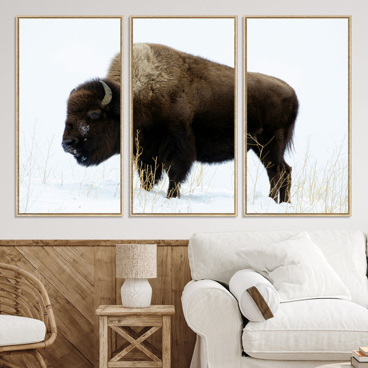 Bison Photography Wall Art Canvas Print, Framed Western Wildlife Art Picture Print, Buffalo On Snow Perfect Western Decor Artwork